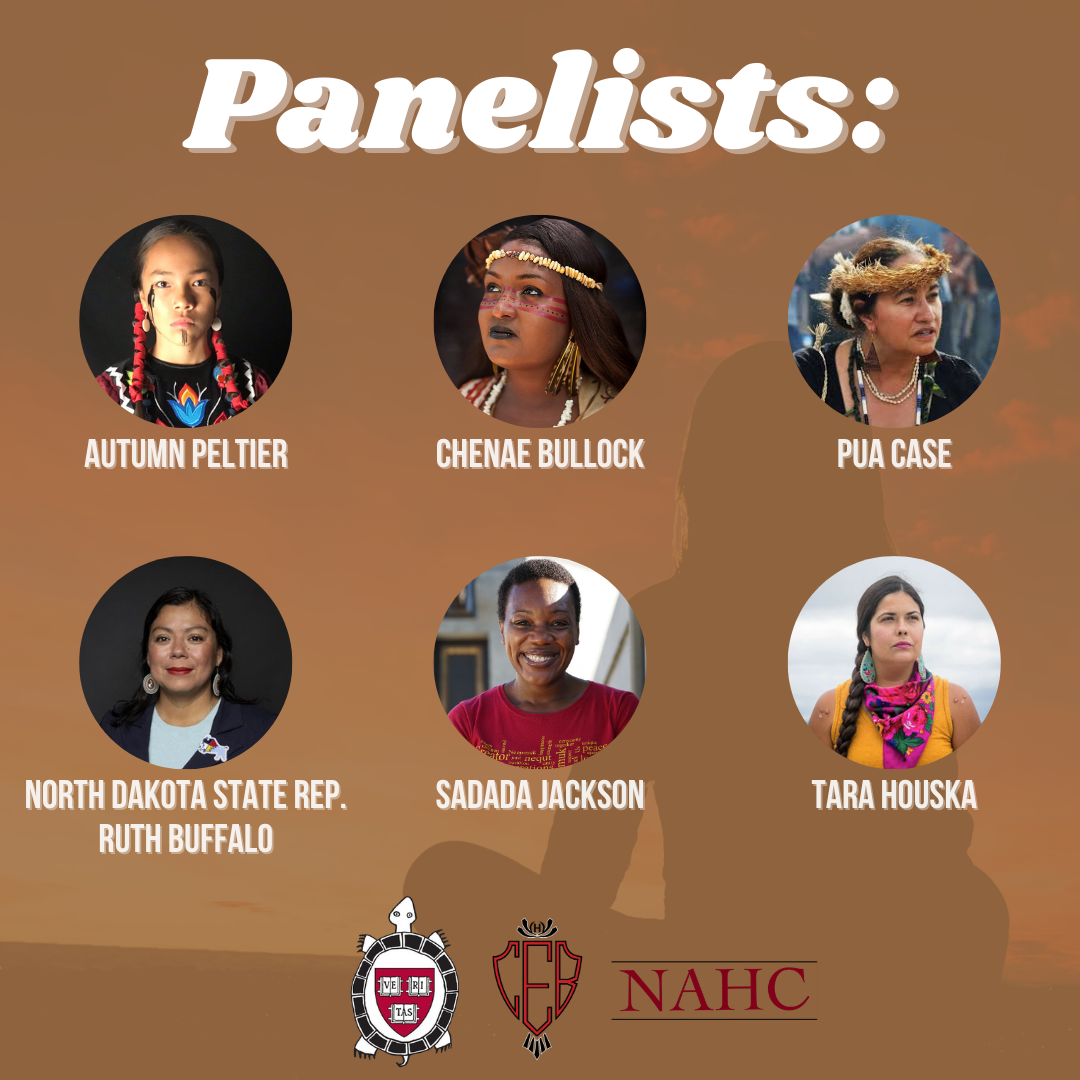 indigenous inspirers panel 02