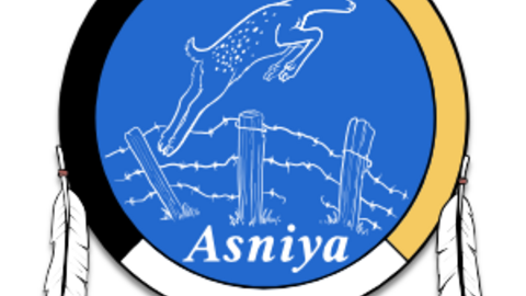 asniya logo which is a medicine wheel with two feathers and a deer jumping across a fence. 