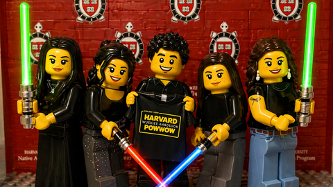 Lego form of the HUNAP interns