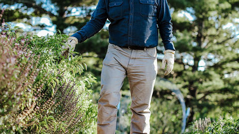 Taylor Keen walking next to his corn in gloves a blue button up shirt and tan hat