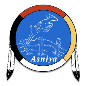 asniya logo which is a medicine wheel with two feathers and a deer jumping across a fence. 