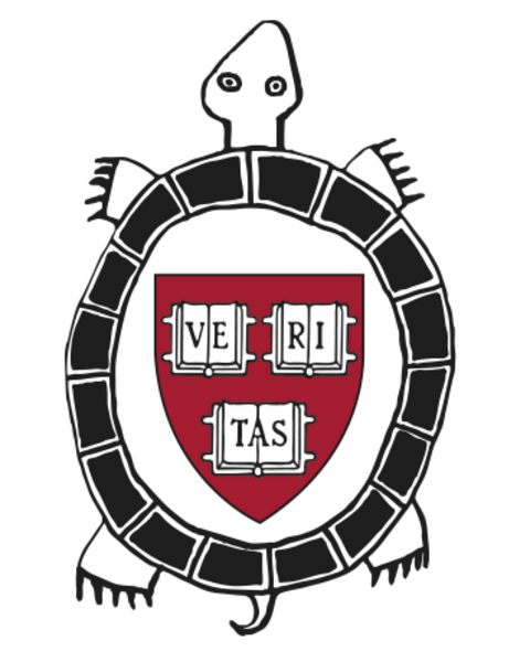 HUNAP Turtle