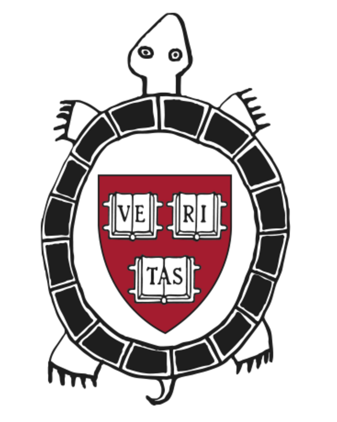 HUNAP Turtle